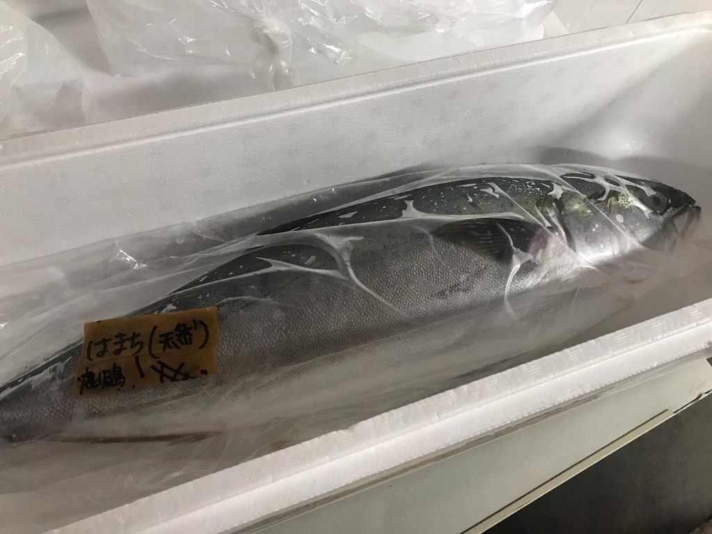 #居酒屋 本日の入荷鹿児島県産天然ハマチ、とり貝、高知県産カツオ等々、新鮮魚入荷しています♪